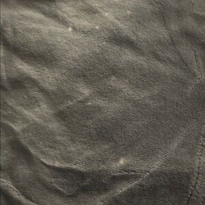 Juicy Couture Y2K Velour Track Pants Petite Gray